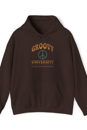 groovy university a place to get your groove on funny retro hoodie