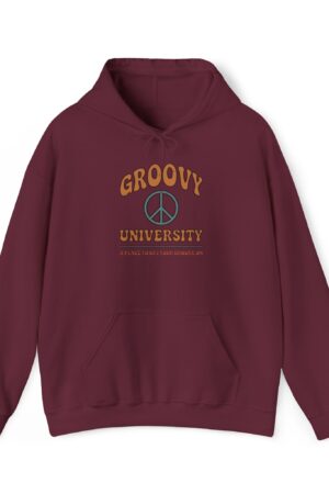 groovy university a place to get your groove on funny retro hoodie