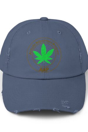 follow the program aap original distressed stoner cap