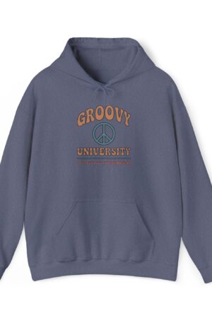 groovy university a place to get your groove on funny retro hoodie