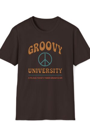 groovy university a place to get your groove on vintage tee