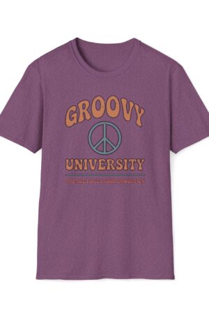 groovy university a place to get your groove on vintage tee