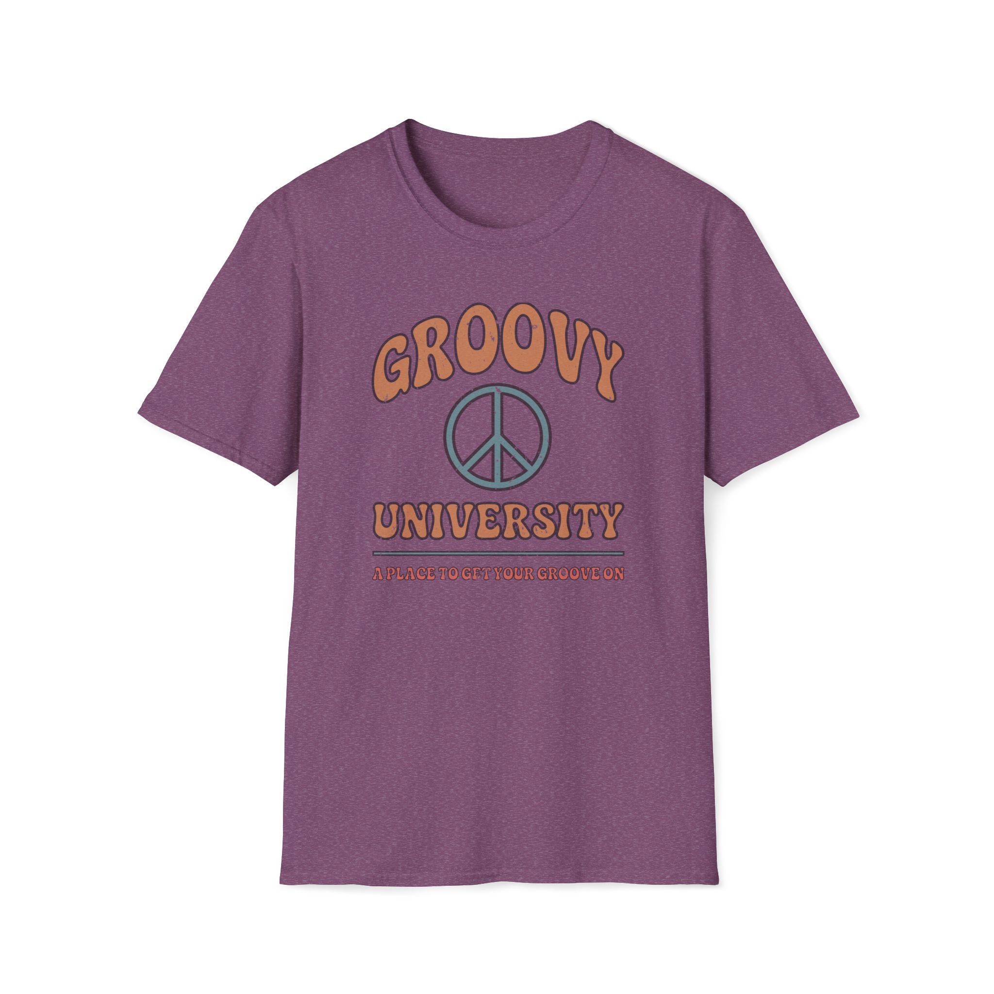groovy university a place to get your groove on vintage tee
