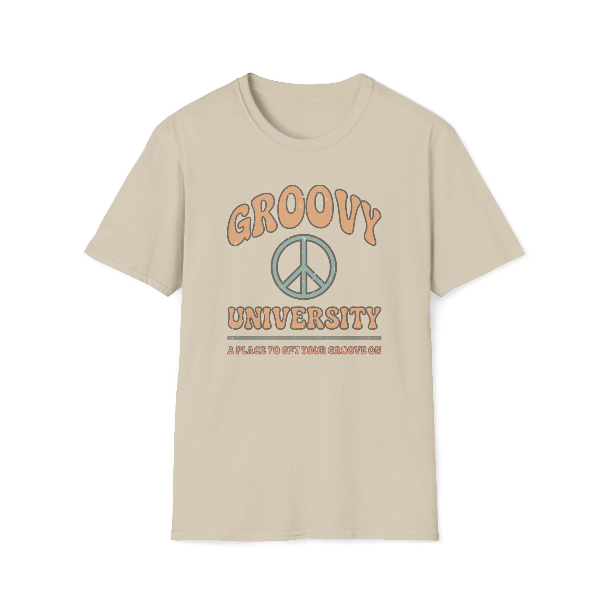 groovy university a place to get your groove on vintage tee